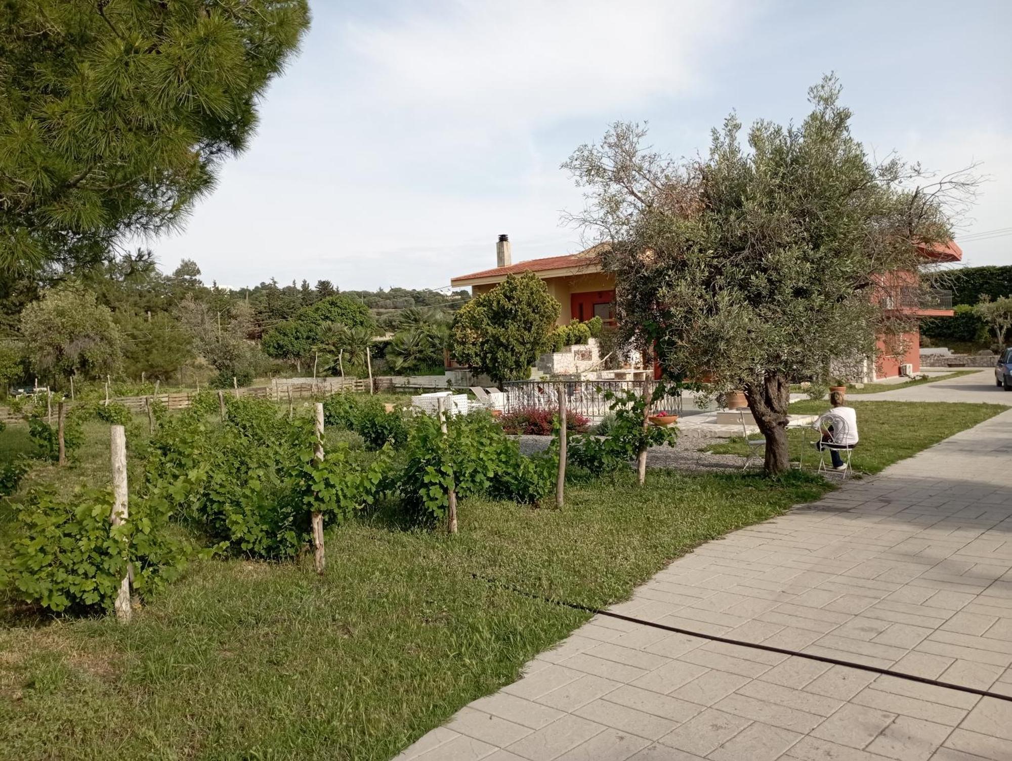 Emarmene Home With Private Pool Near Rhodes Town & Airport Koskinou  Zewnętrze zdjęcie